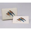 Steven Lewers & Associates Steven M. Lewers & Associates LEWERSNC53 Eastern Bluebird Notecard Assortment (8 of 1 style) LEWERSNC53